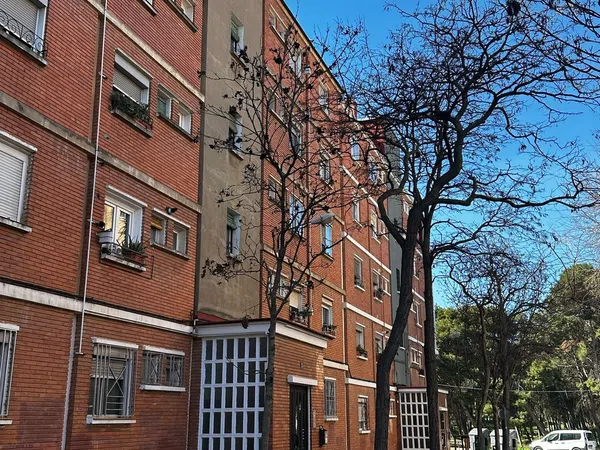 Piso en Barrio Pinares de Venecia - Foto 11