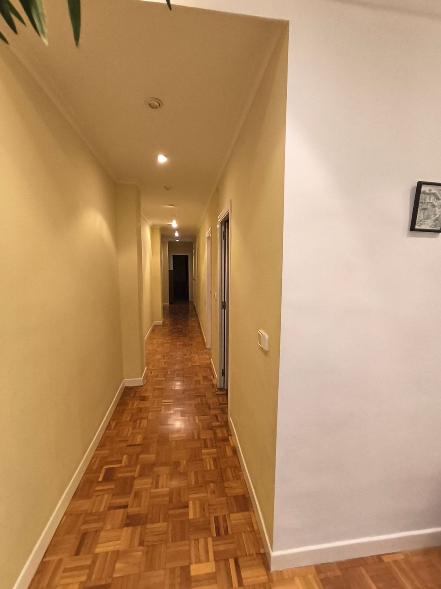 Piso en Calle Médico Manero Mollà, 7, Centro Tradicional - Foto 17