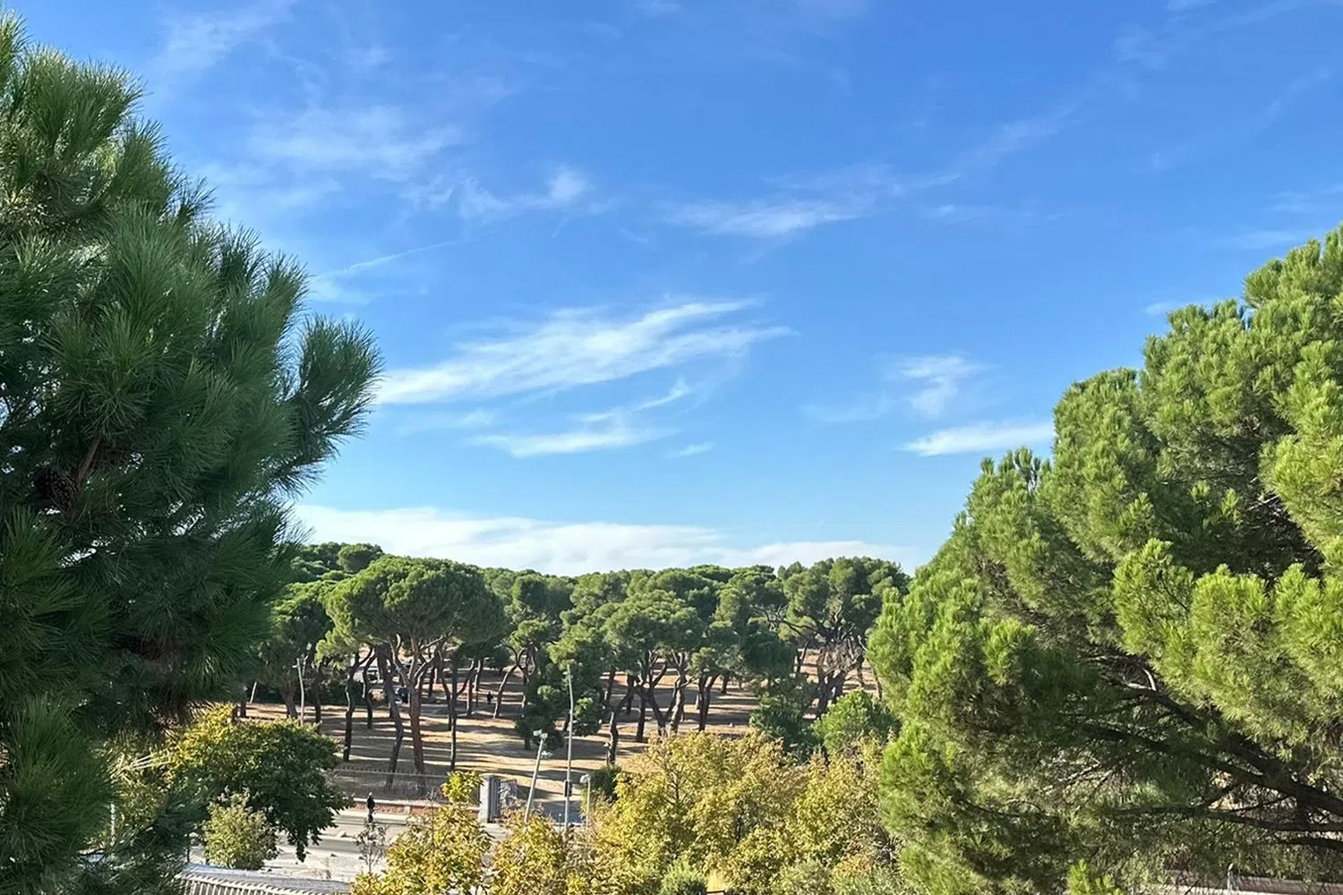 Ático en avenida de Portugal, 39 - Foto 24