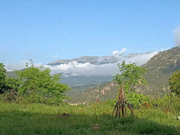 Finca rústica en Poblado Graya, 23 - Foto 1