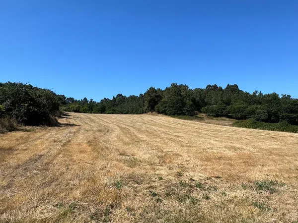 Finca rústica en San Cristóbal de Remesar, 3 - Foto 17