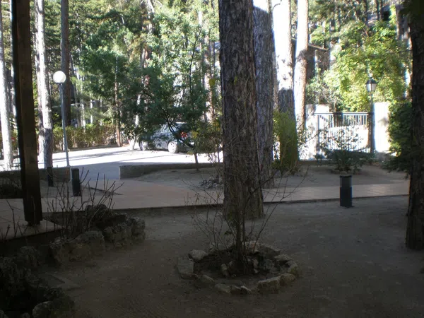 Piso en Calle Pinar, 2, Abantos - Carmelitas, Abantos - Carmelitas - Foto 38