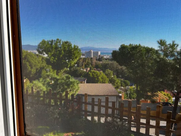 Estudio en alto del Pinar, 2 - Foto 11