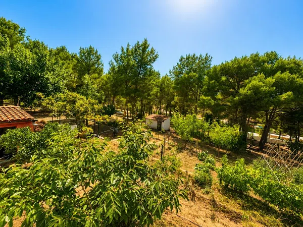 Finca rústica en Poligono 1, 513 parcela - Foto 34