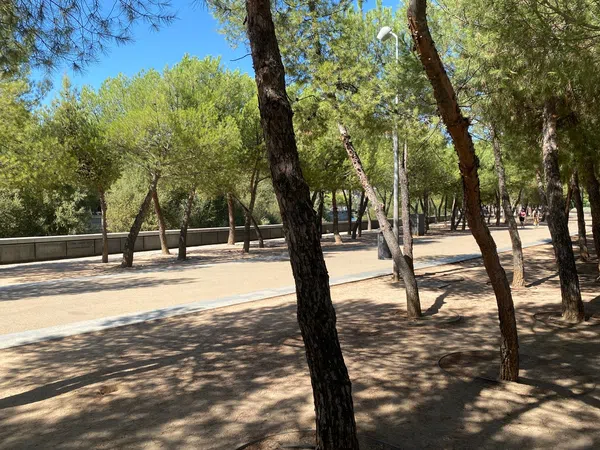 Piso en Barrio Imperial - Foto 26