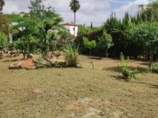 Casa o chalet independiente en Calle Almeria urb. Las Minas Golf, 44 - Foto 6