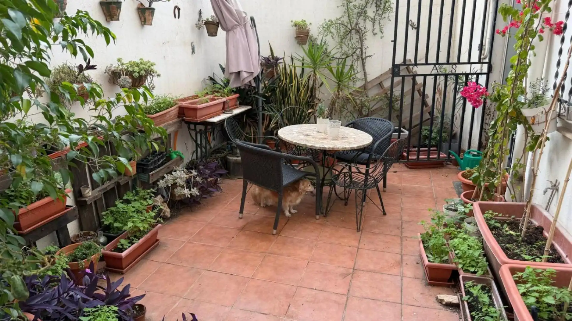 Piso en  Carrer de Sagunt 67 - Foto 6