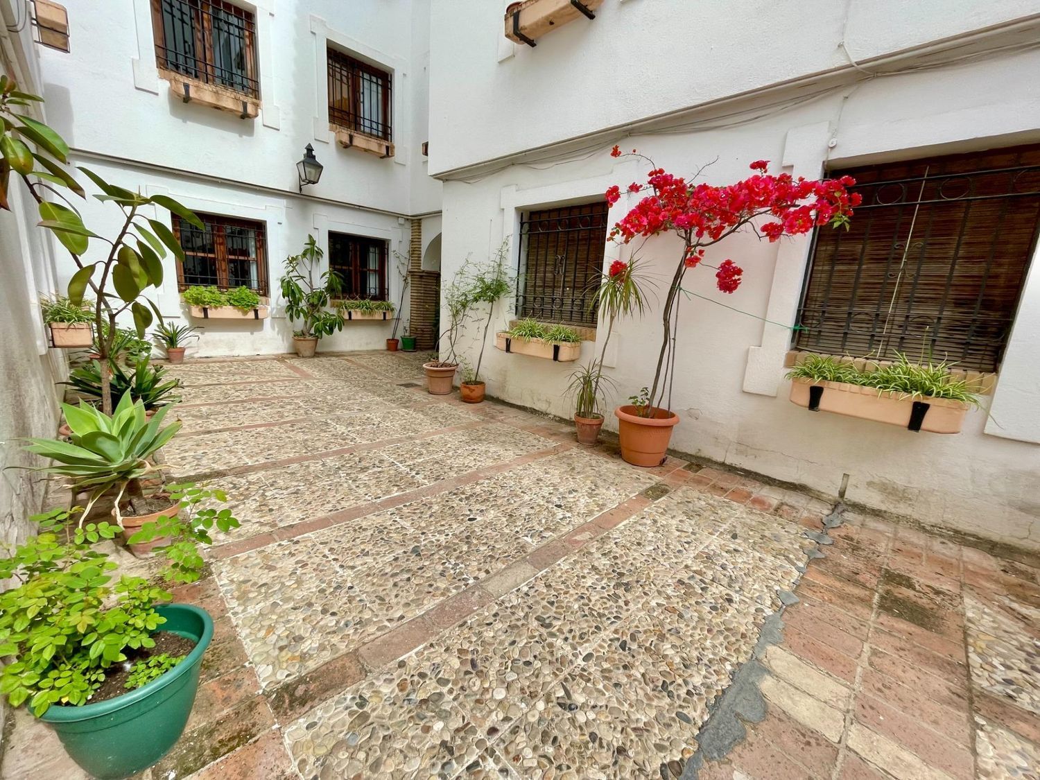 Piso en Judería - San Basilio - Foto 5