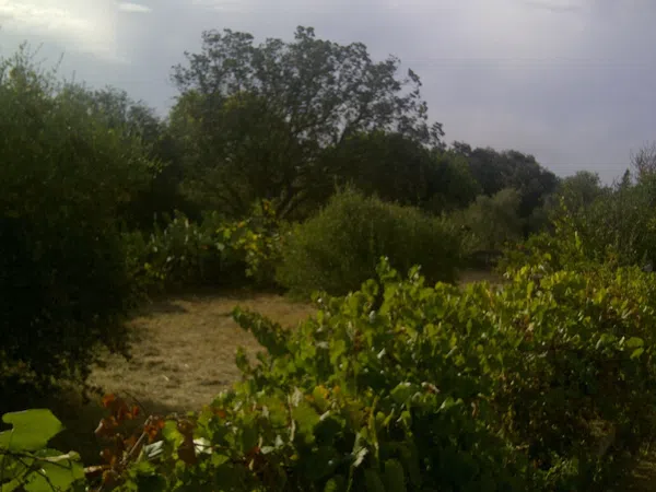 Casa independiente en camino de Melilla s/n - Foto 11