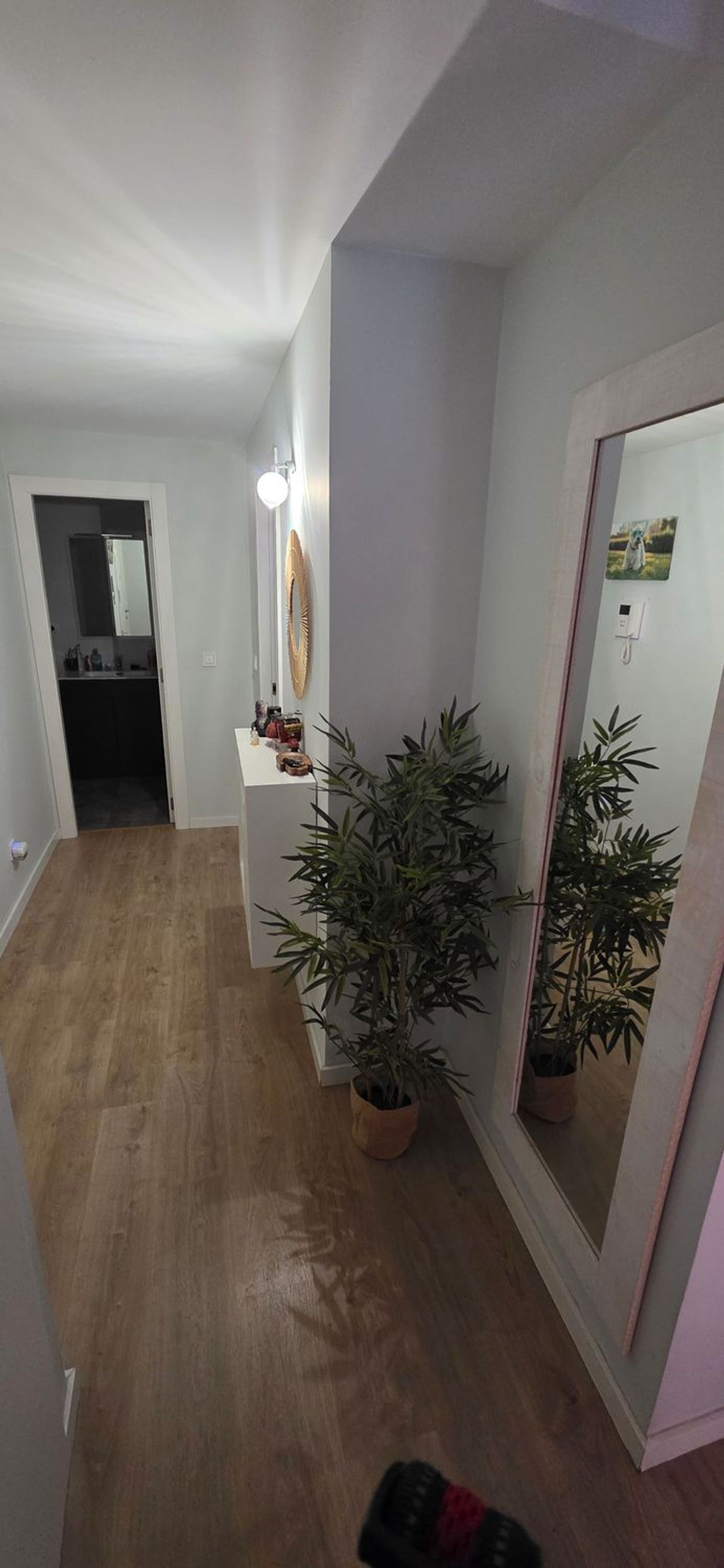 Estudio en calle del Poeta Josep Cervera i Grífol, 7 - Foto 5