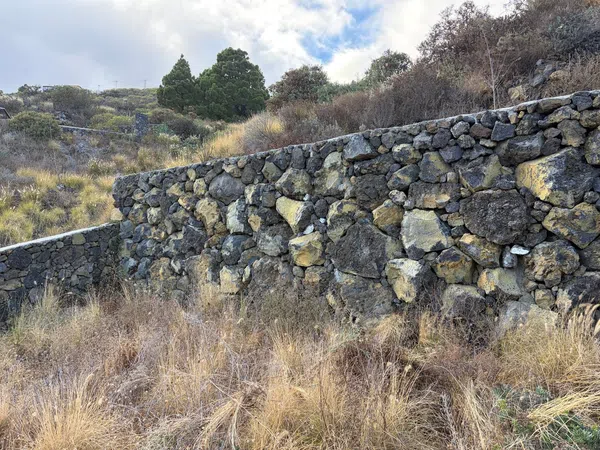 Finca rústica en Camino las cañas, 8 - Foto 5