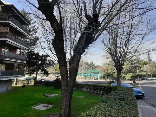 Piso en Urb. las suertes Parque de la Coruña - Las Suertes - Foto 15