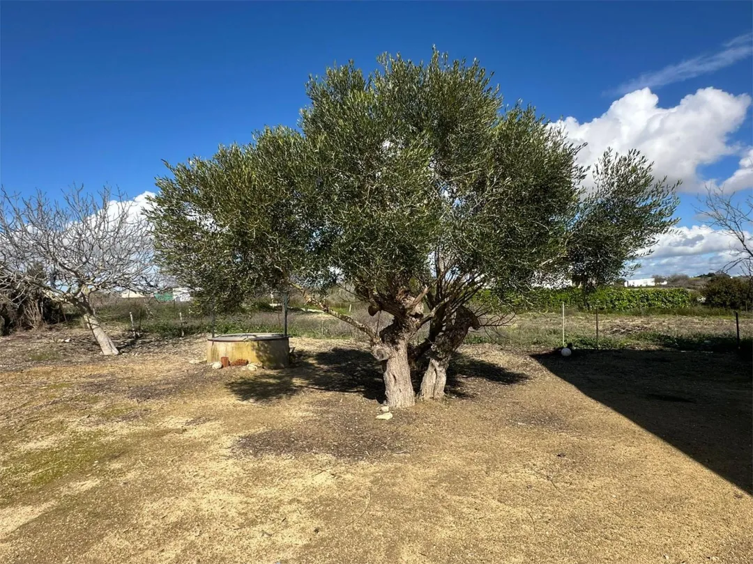 Chalet en  Calle Martín Jiménez 4 - Foto 11