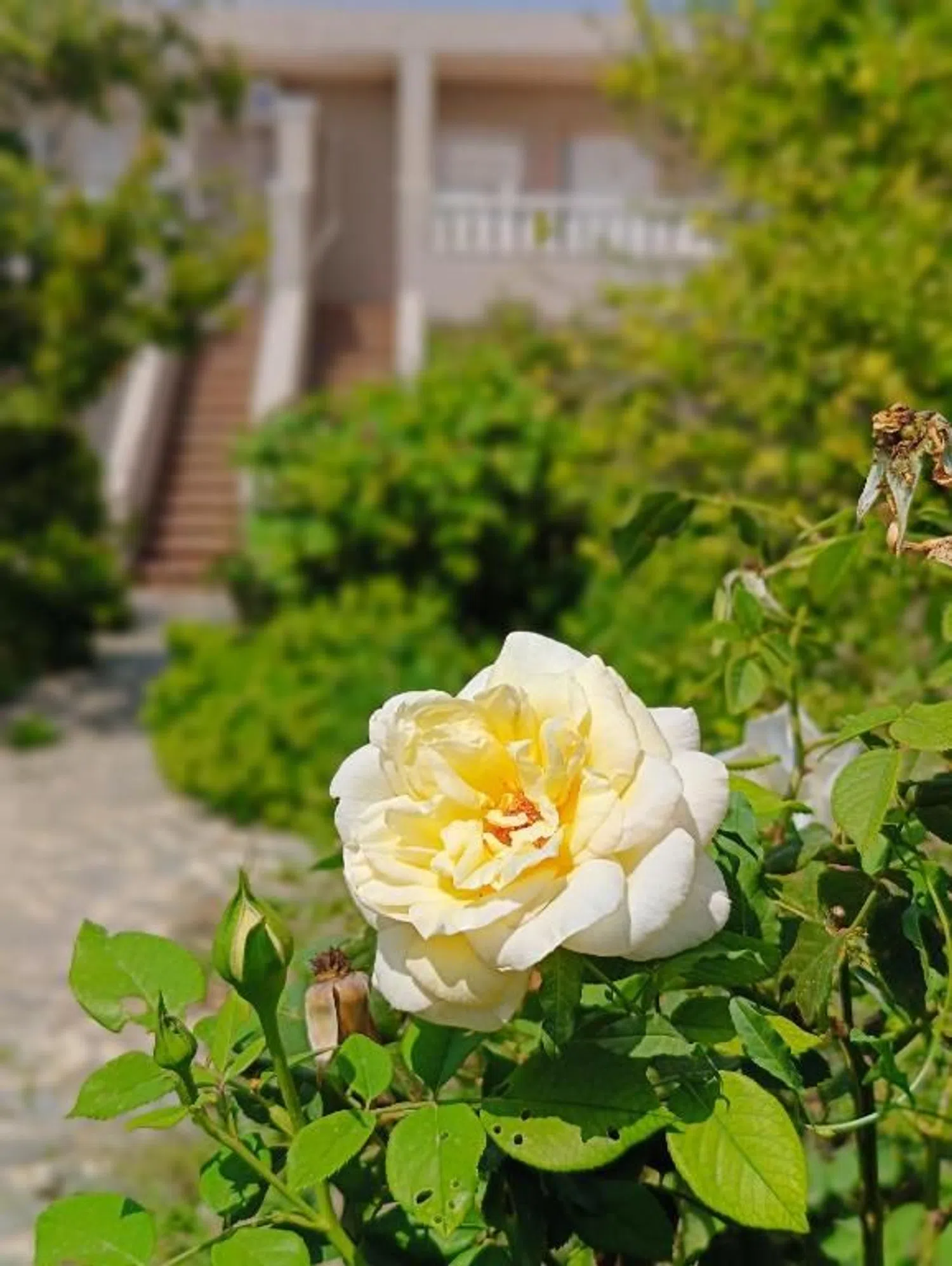 Piso en calle de Miquel Guansé, 74 - Foto 11