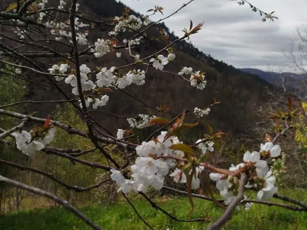 Casa rural en Lugar Vileimil-Pq Vilaboa, 42 D - Foto 13