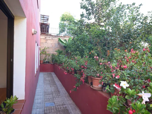 Casa o chalet independiente en Carretera Tacoronte Tejina, 114, Guayonje - Mesa del Mar, Guayonje - Mesa del Mar - Foto 2
