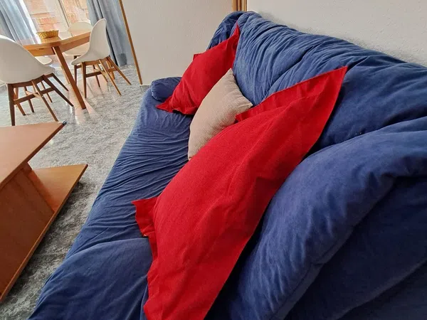 Piso en Av Blasco Ibáñez, Ciutat Jardí - Foto 4