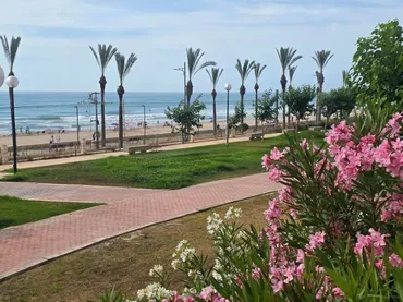 Piso en Alicante / Alacant - Foto 5