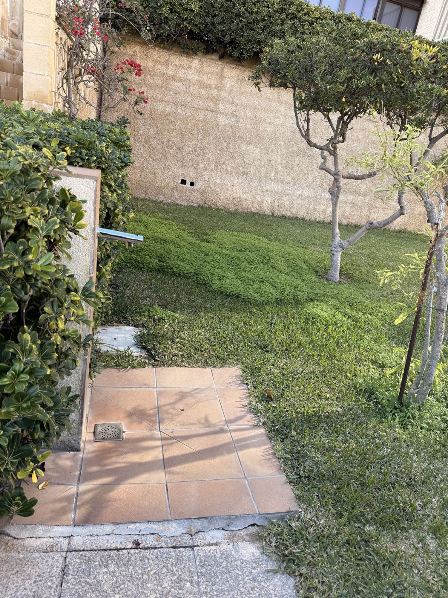Piso en Calle Ifach, 6, Arenales del Sol, Arenales del Sol - Foto 22