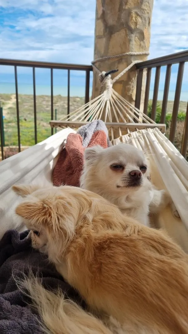 Chalet en  Entrada de Marina 258 - Foto 9