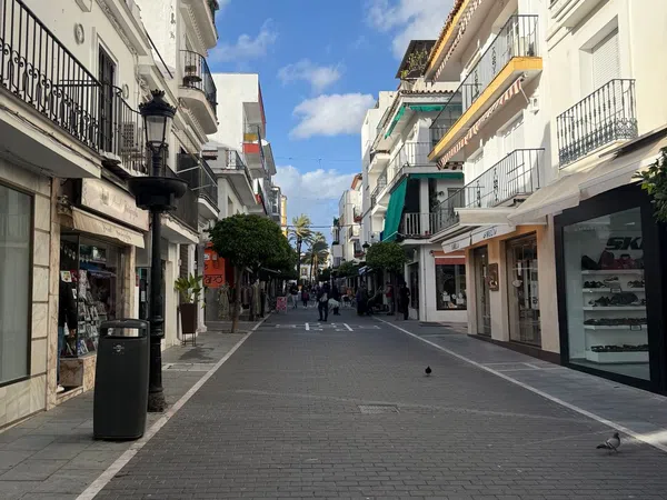 Local en Avenida Marqués del Duero, 36, San Pedro Pueblo - Foto 7