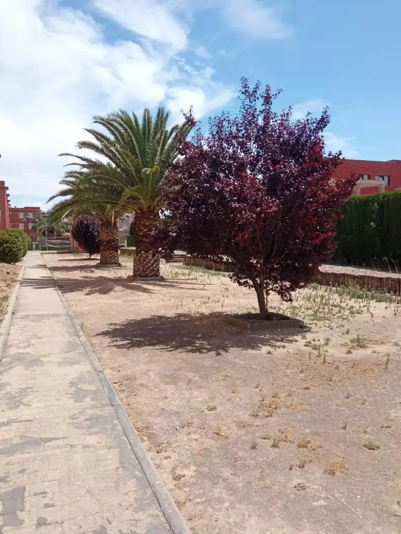 Piso en  Avenida de los Descubrimientos 7 - Foto 5