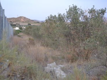 Finca rústica en  CV-830 173 - Foto 4