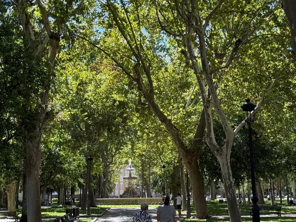 Piso en Plaza del Moreno, 1, San Cayetano - Foto 17