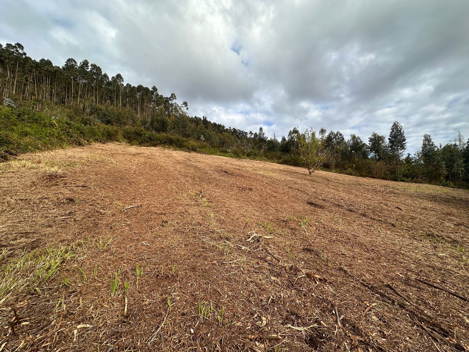 Casa o chalet independiente en Bernes, 2 - Foto 35
