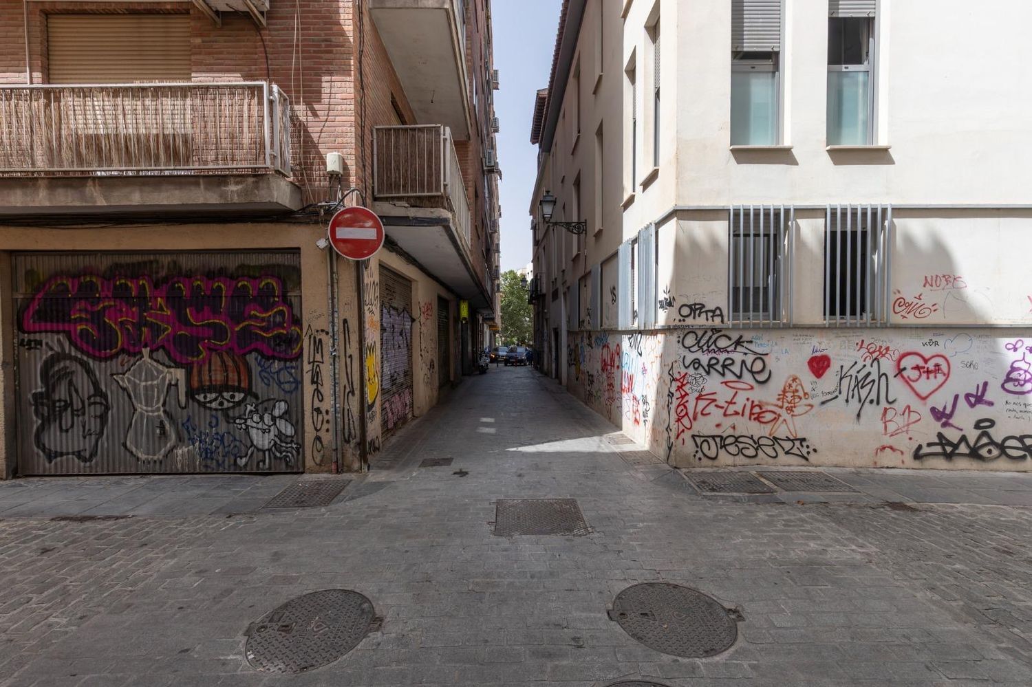 Piso en Calle Horno de Abad, 2, Jardín Botánico - Foto 29
