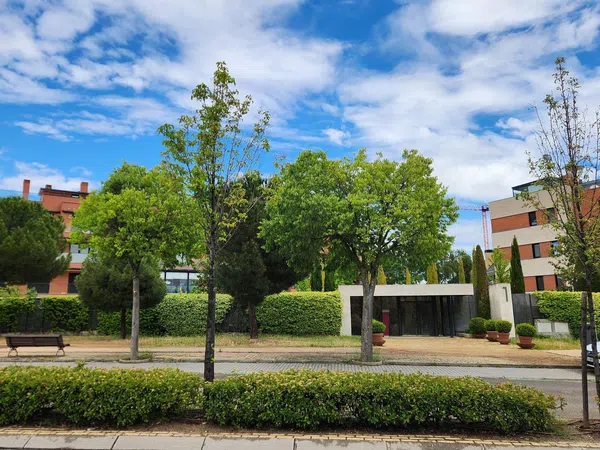 Piso en Avenida de Casablanca, 1, Prado de Somosaguas - Foto 14