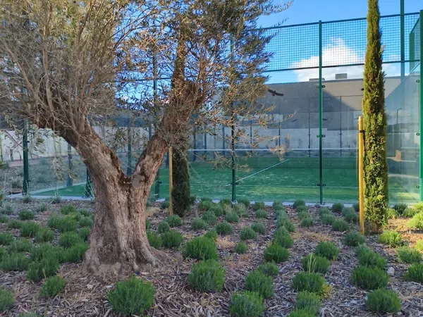 Piso en calle de Rafael Moneo, 1 - Foto 2