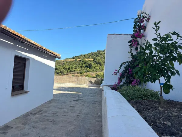 Cortijo en Cortijo en diseminado sambana, 5 - Foto 6