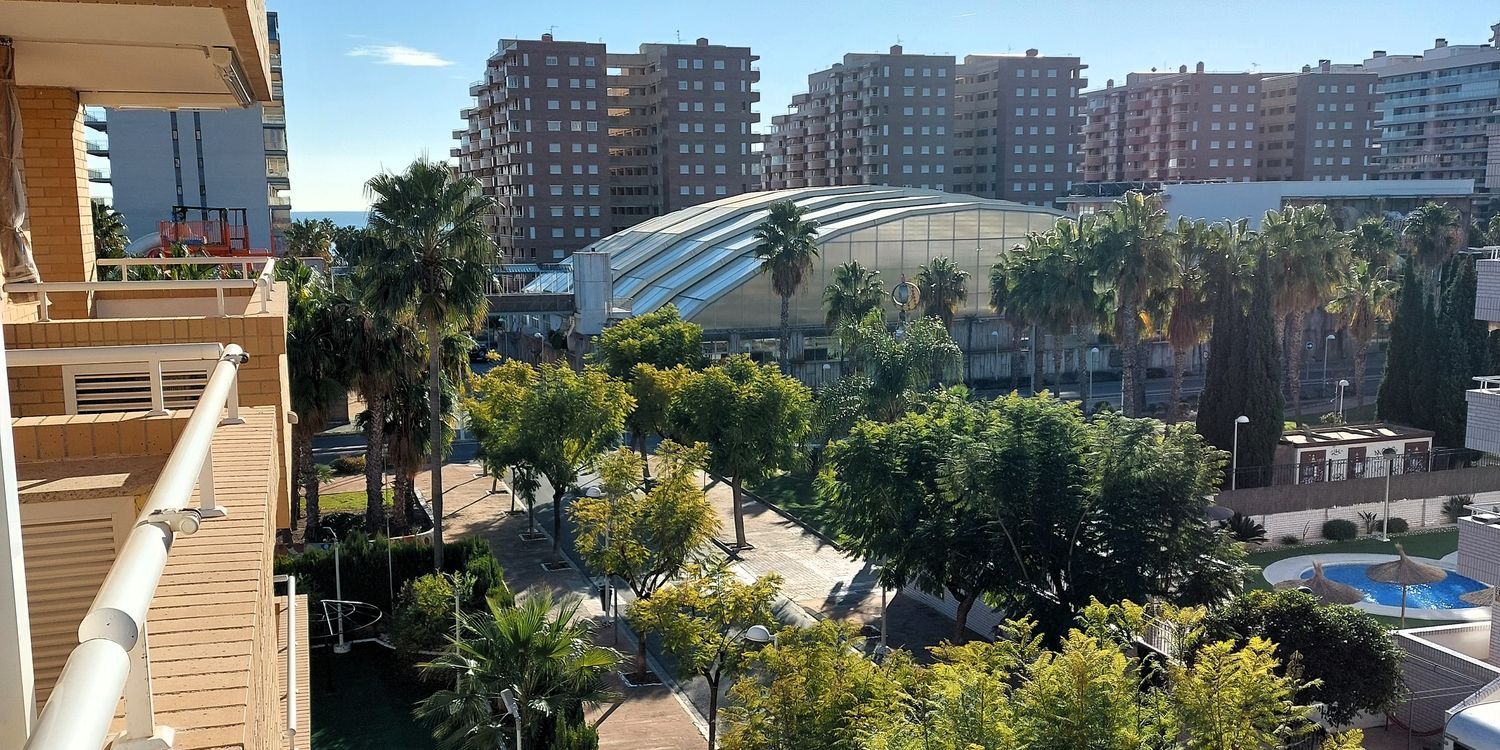 Piso en Avenida Central, 14, Marina Trebol - Neptuno - Foto 14
