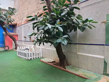 Planta baja en  Carrer de Bartomeu Rosselló-Porcel 6a - Foto 21