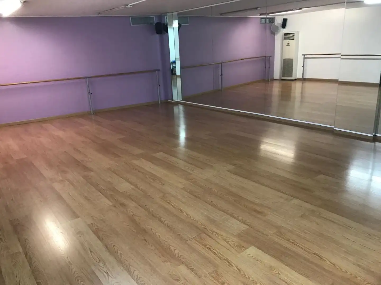 Local comercial en  Carrer de Joaquim Rubió i Ors 298 - Foto 4