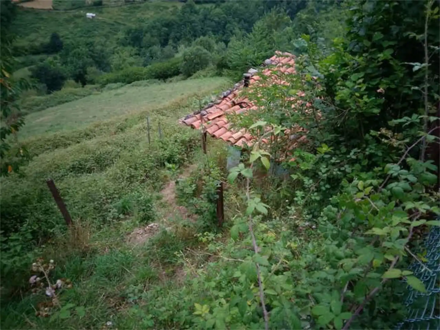 Chalet en Los Tornos, Laviana - Asturias - Foto 4