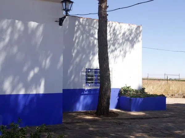 Casa o chalet independiente en Camino la Calera Blanca s/n - Foto 6