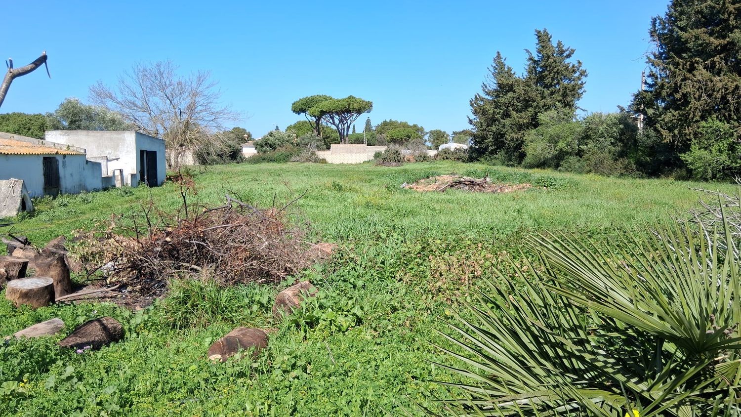 Casa independiente en calle Verbana, 40 Sn - Foto 7