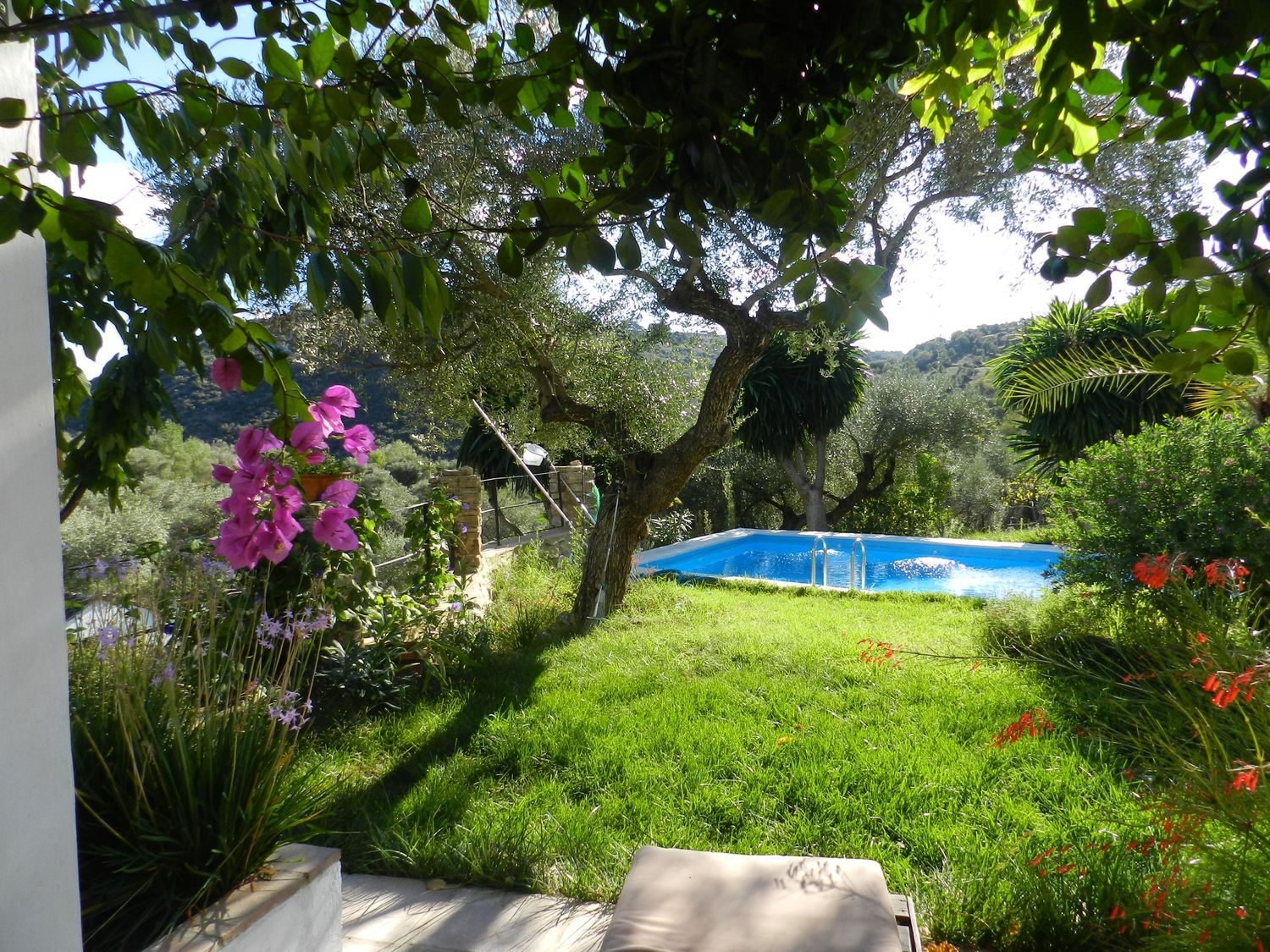 Casa o chalet independiente en Camino Fontana, 1 - Foto 34