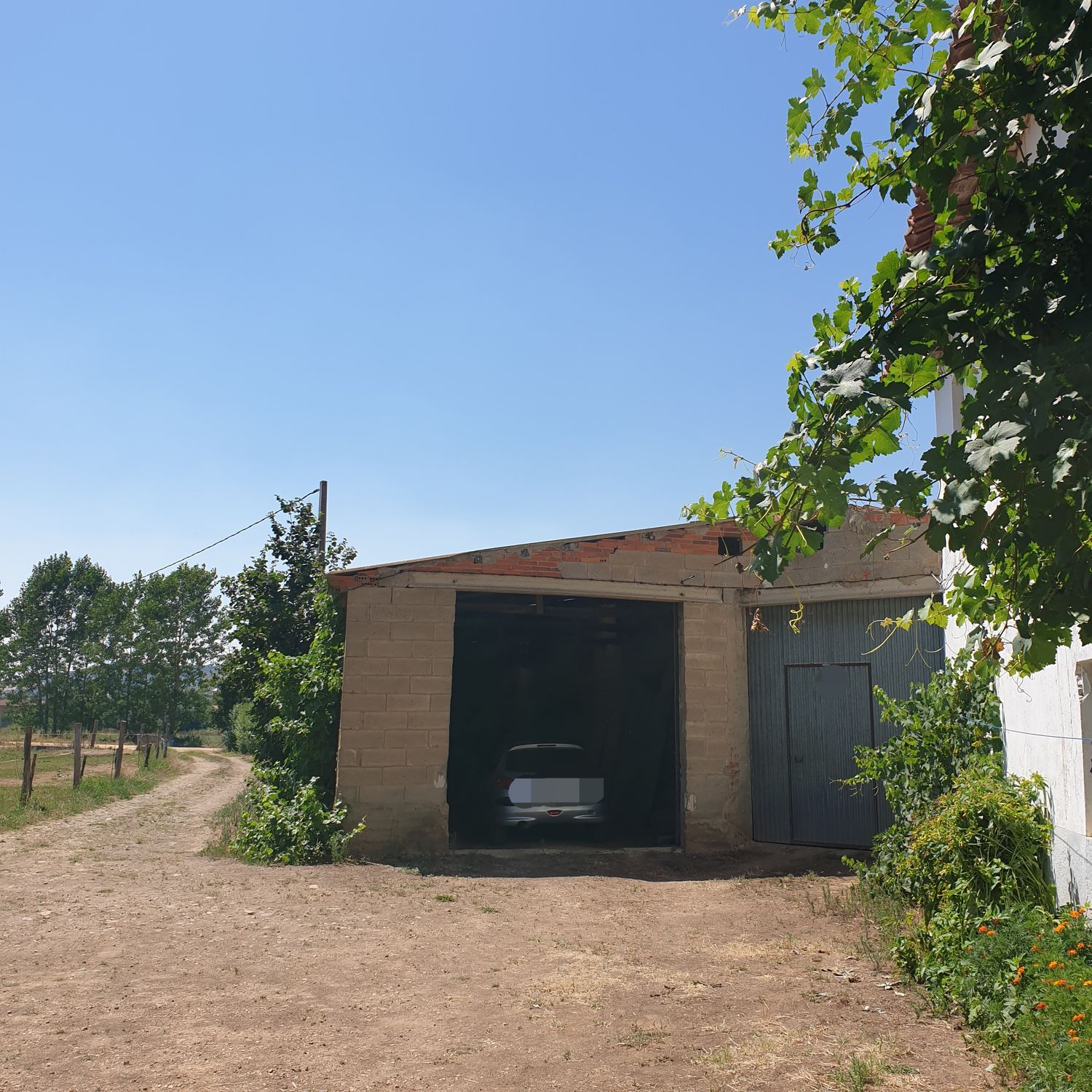 Finca rústica en Calle El Molino, 1 - Foto 4