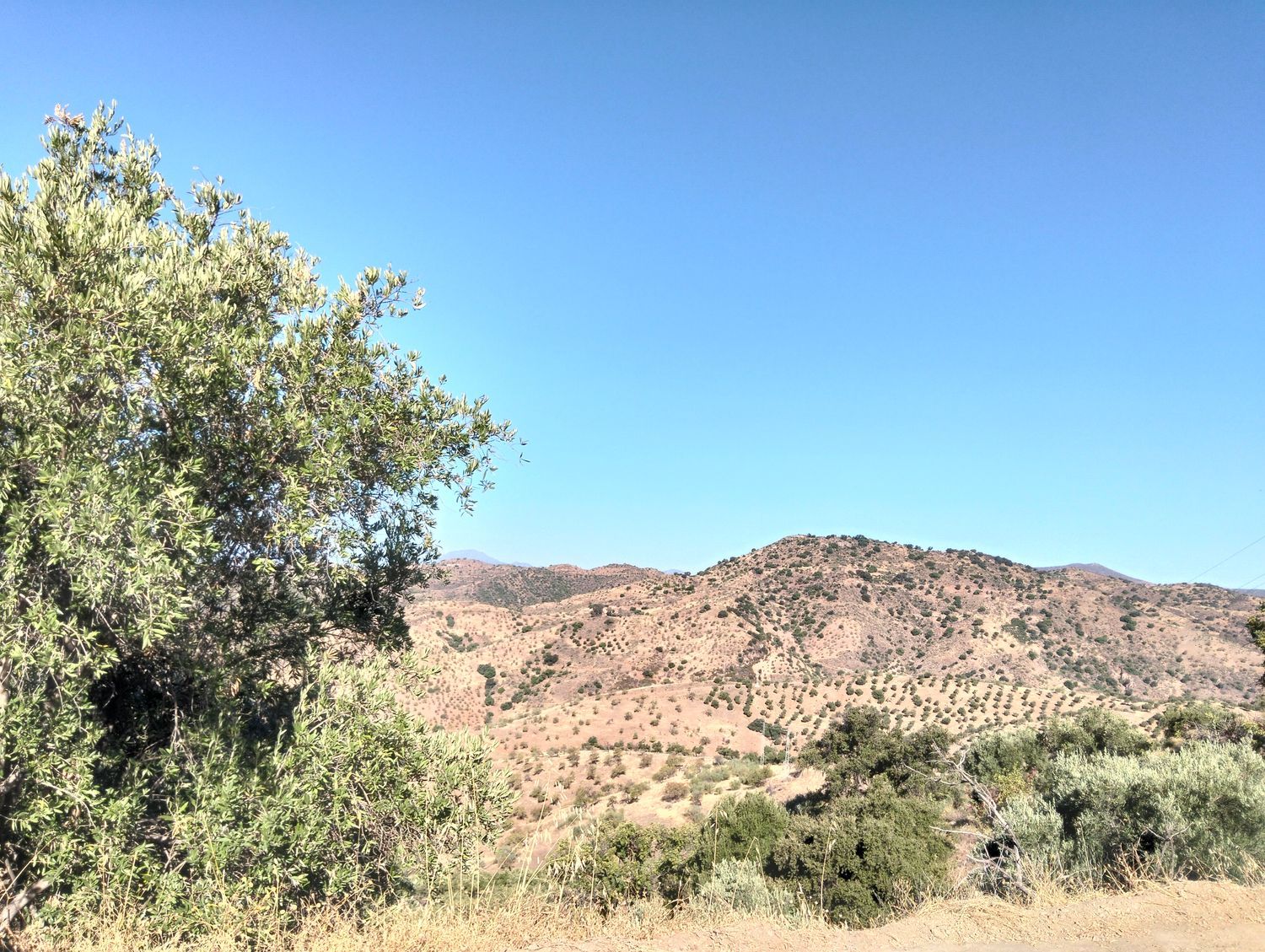 Finca rústica en Camino Los Nuñez, 1 - Foto 5