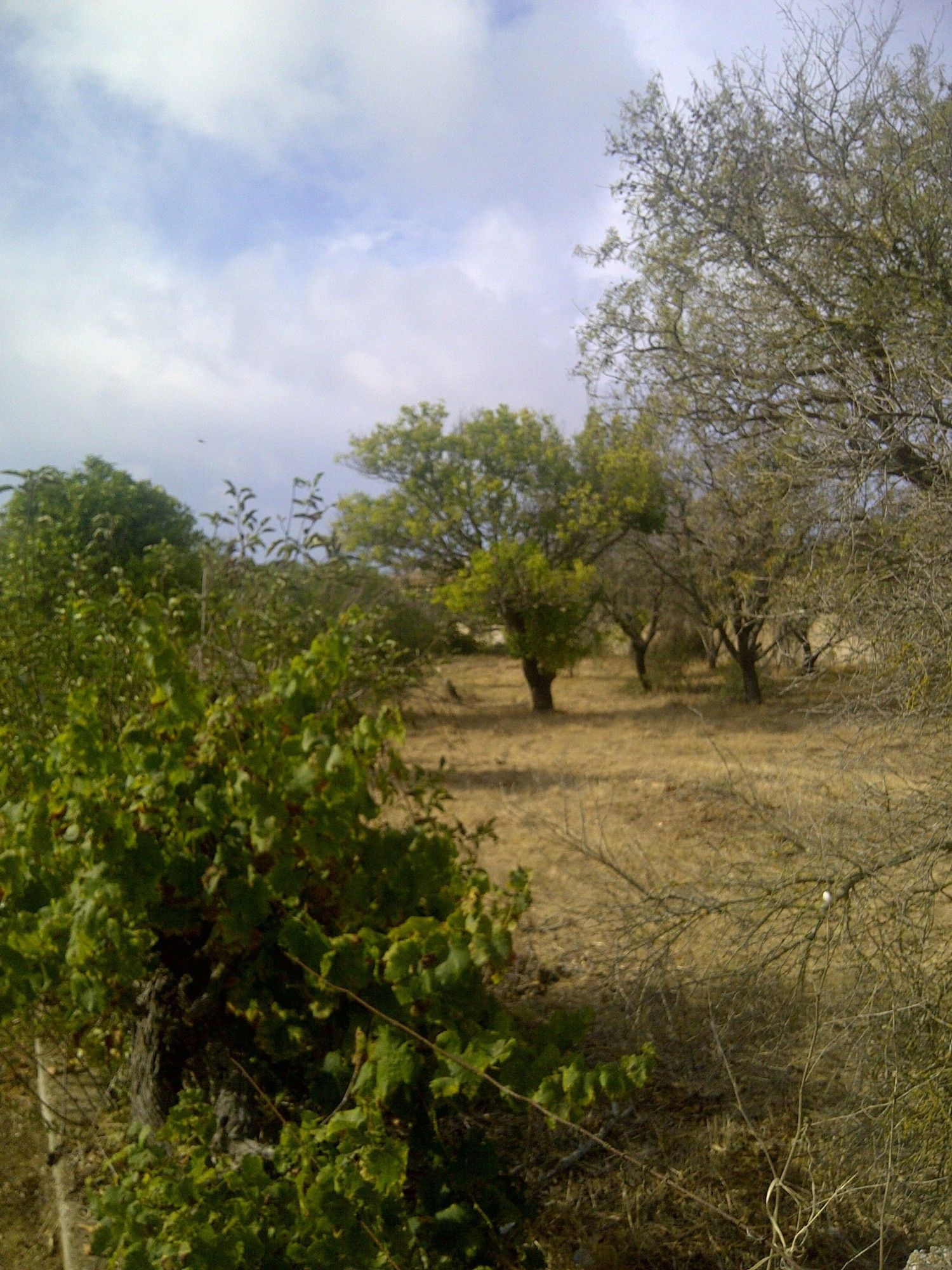Casa independiente en camino de Melilla s/n - Foto 12
