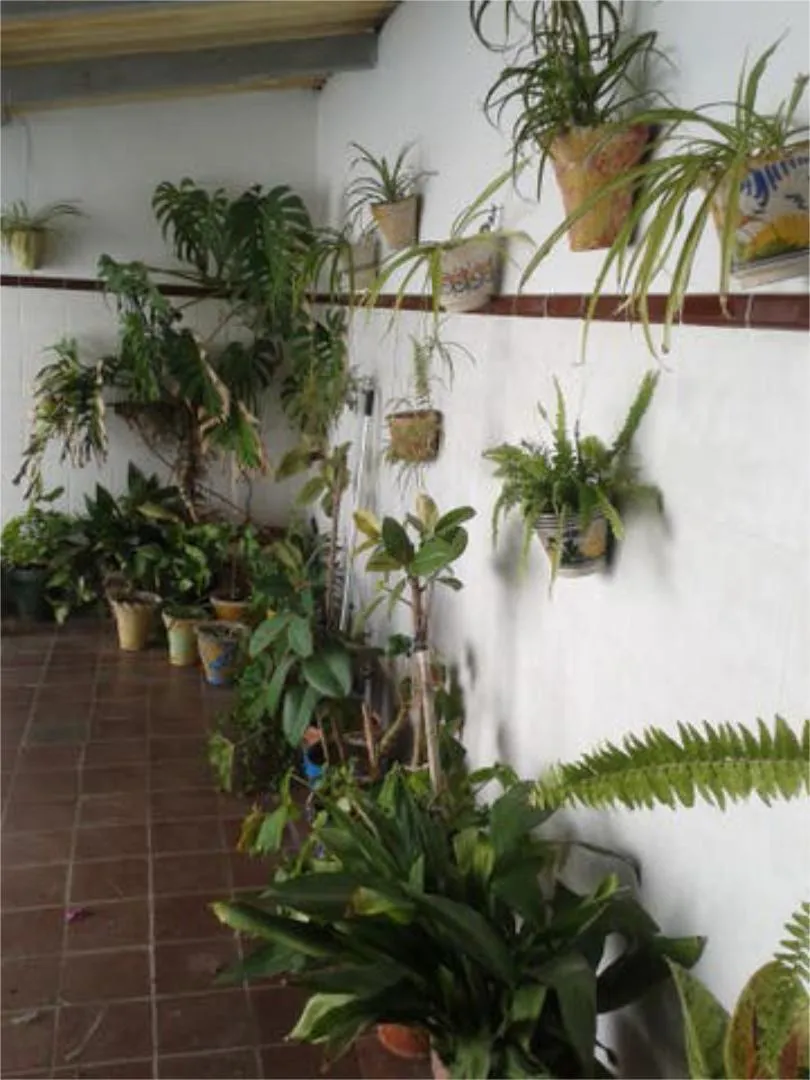 Chalet en Santa Ana - Foto 2