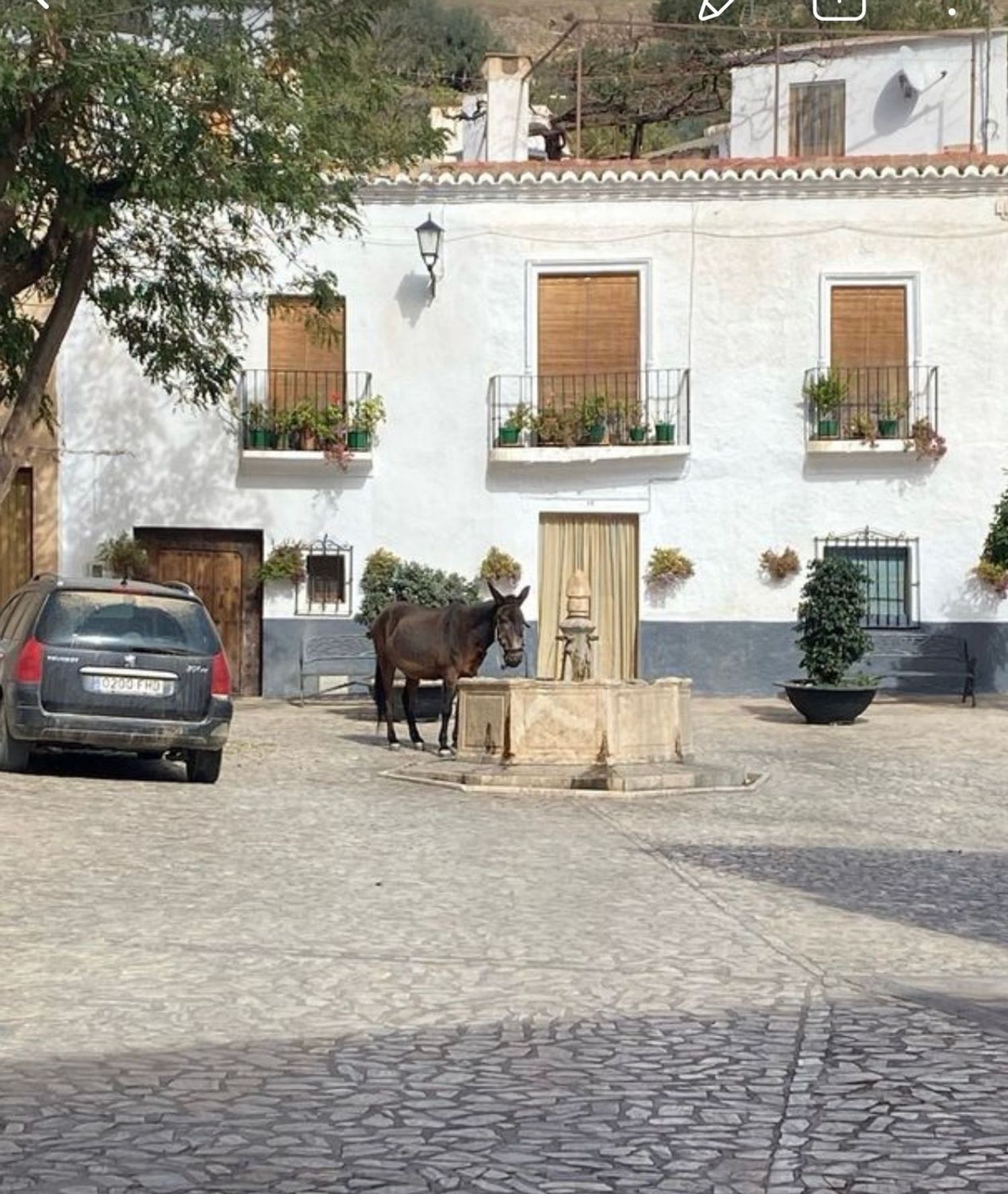 Casa de pueblo en Calle Peñuelas, 24 - Foto 6