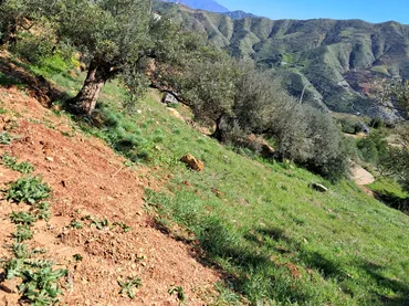 Finca rústica en  Diseminado el Cerval Pol 15 34B - Foto 21