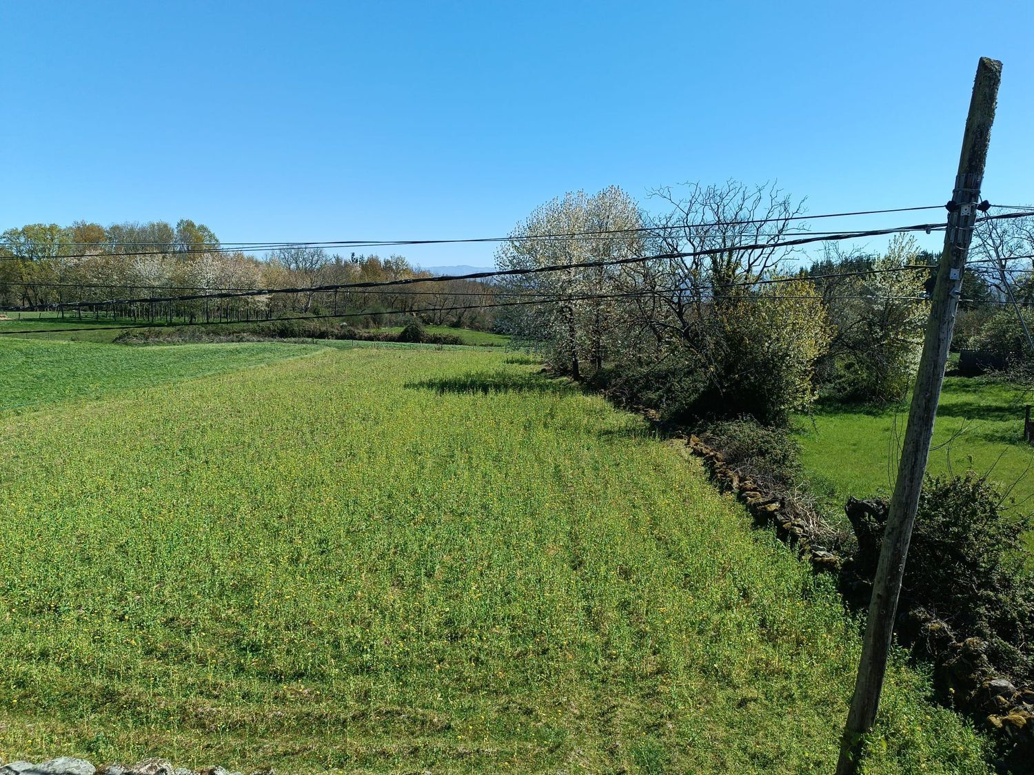 Casa rural en Toiriz a hedra, 79 - Foto 13