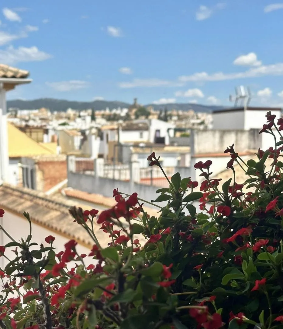 Piso en  Calle Capitulares 16