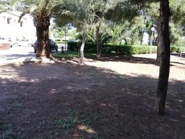Apartamento en  Urbanizacion Paraiso Park 1 - Foto 8