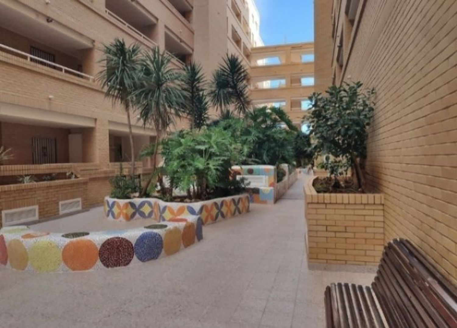 Piso en Avenida Central, 14, Marina Trebol - Neptuno - Foto 11